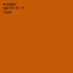 #C55B07 - Tenn Color Image