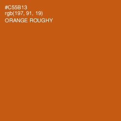 #C55B13 - Orange Roughy Color Image