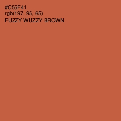 #C55F41 - Fuzzy Wuzzy Brown Color Image