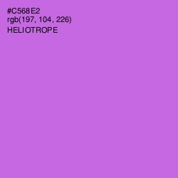 #C568E2 - Heliotrope Color Image