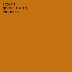 #C57111 - Indochine Color Image