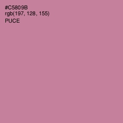 #C5809B - Puce Color Image