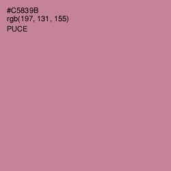 #C5839B - Puce Color Image