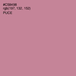 #C58498 - Puce Color Image