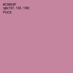 #C5859F - Puce Color Image