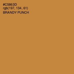 #C5863D - Brandy Punch Color Image