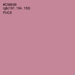 #C58699 - Puce Color Image