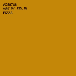 #C58708 - Pizza Color Image