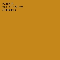 #C5871A - Geebung Color Image