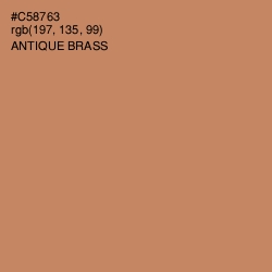 #C58763 - Antique Brass Color Image