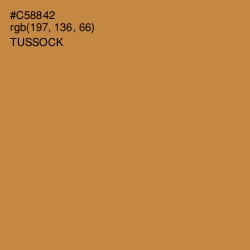 #C58842 - Tussock Color Image