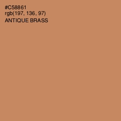 #C58861 - Antique Brass Color Image