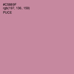 #C5889F - Puce Color Image