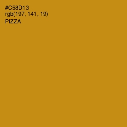 #C58D13 - Pizza Color Image