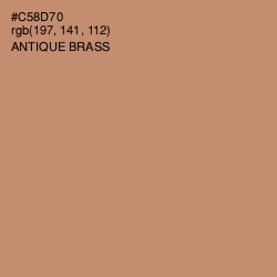 #C58D70 - Antique Brass Color Image