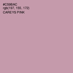 #C59BAC - Careys Pink Color Image