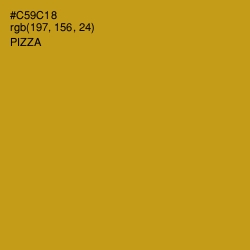 #C59C18 - Pizza Color Image