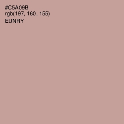 #C5A09B - Eunry Color Image