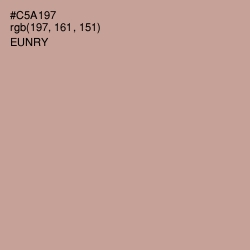 #C5A197 - Eunry Color Image