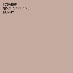 #C5AB9F - Eunry Color Image