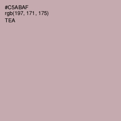 #C5ABAF - Tea Color Image