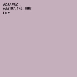 #C5AFBC - Lily Color Image