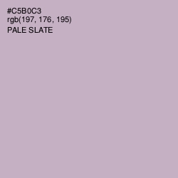 #C5B0C3 - Pale Slate Color Image