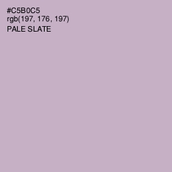#C5B0C5 - Pale Slate Color Image