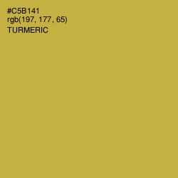 #C5B141 - Turmeric Color Image