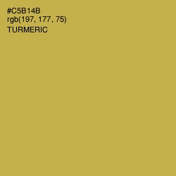 #C5B14B - Turmeric Color Image