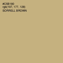 #C5B180 - Sorrell Brown Color Image