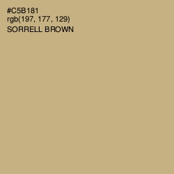 #C5B181 - Sorrell Brown Color Image