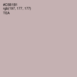 #C5B1B1 - Tea Color Image