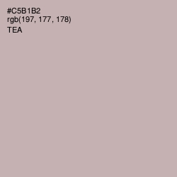 #C5B1B2 - Tea Color Image