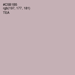 #C5B1B5 - Tea Color Image