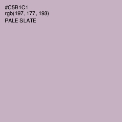 #C5B1C1 - Pale Slate Color Image