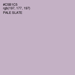 #C5B1C5 - Pale Slate Color Image