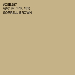 #C5B287 - Sorrell Brown Color Image
