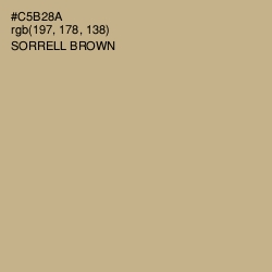 #C5B28A - Sorrell Brown Color Image