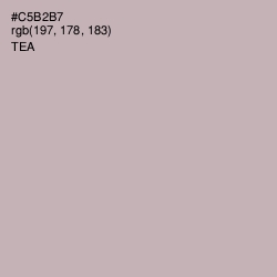 #C5B2B7 - Tea Color Image