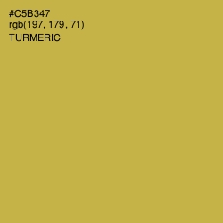 #C5B347 - Turmeric Color Image