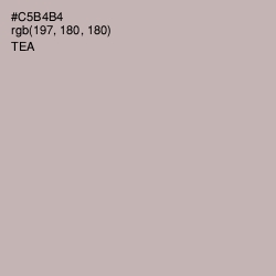 #C5B4B4 - Tea Color Image