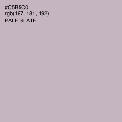 #C5B5C0 - Pale Slate Color Image