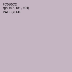 #C5B5C2 - Pale Slate Color Image