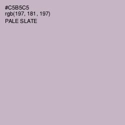 #C5B5C5 - Pale Slate Color Image