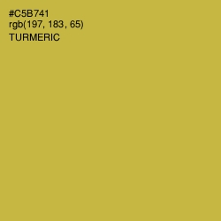 #C5B741 - Turmeric Color Image