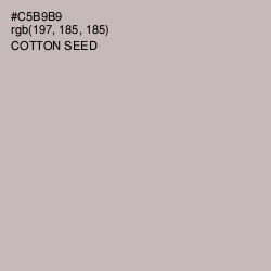 #C5B9B9 - Cotton Seed Color Image