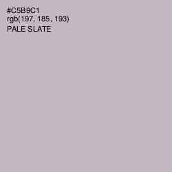 #C5B9C1 - Pale Slate Color Image