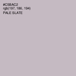 #C5BAC2 - Pale Slate Color Image