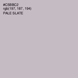 #C5BBC2 - Pale Slate Color Image